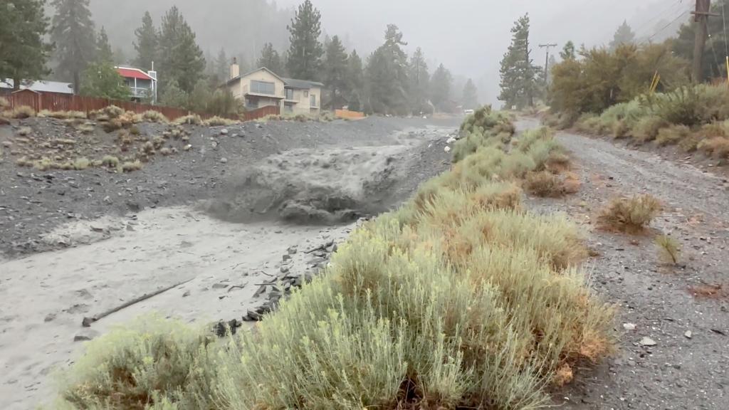 Floodwaters flowing down Sheep Canyon in Wrightwood, California.