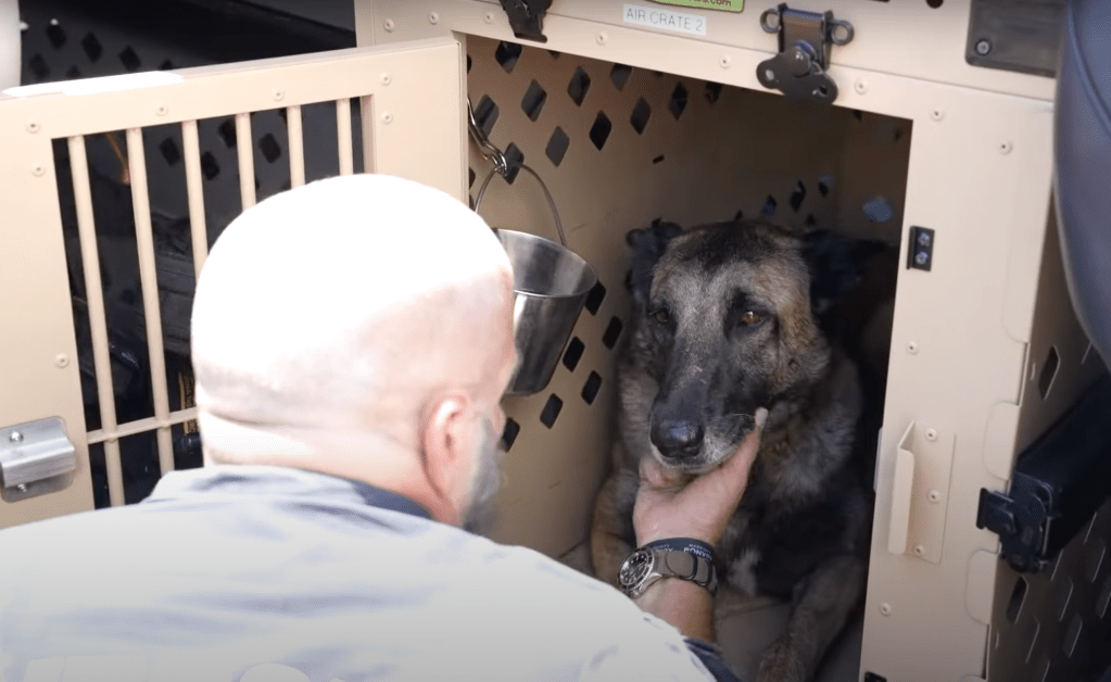 The HR dogs take turns running through a site while their counterparts take a much-needed fuel and hydration break inside an air-conditioned vehicle.