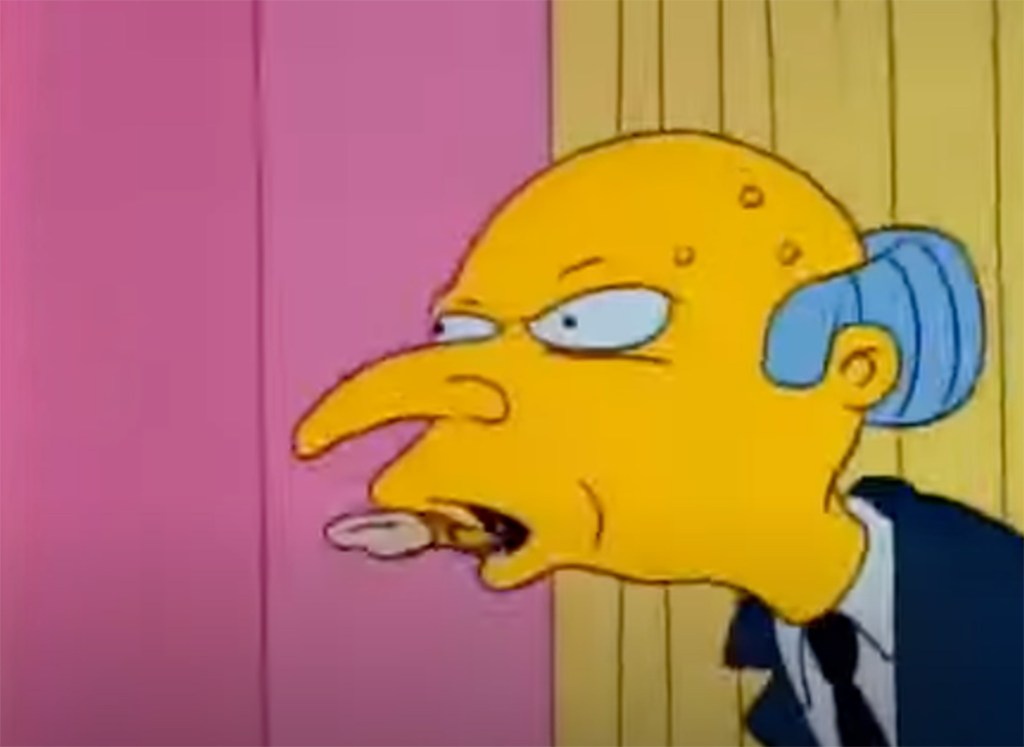 Mr. Burns