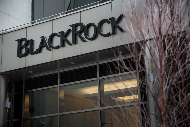 Investment giant BlackRock is one of many such firms accused of placing progressive politics before investor returns. New shareholder voting rights may change this.