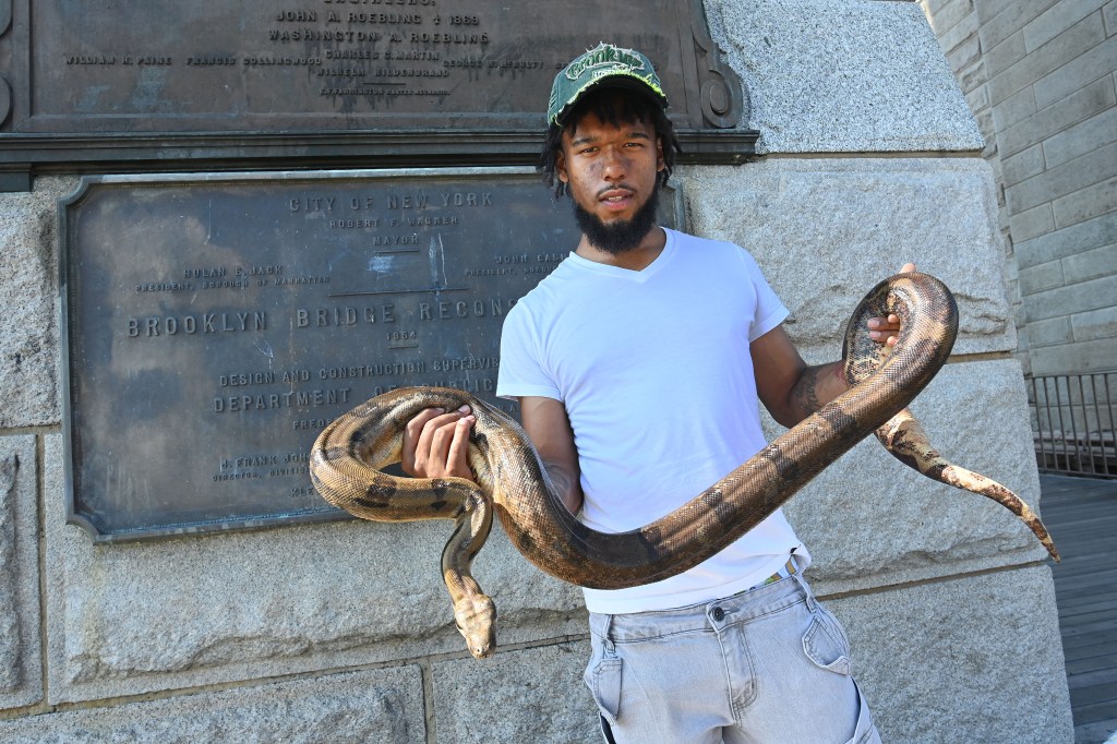 Man holds a snake