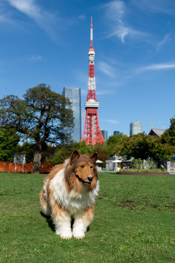 The Japanese native also revealed that he had long dreamed of living as an animal, but had never mustered up the courage prior to ordering his current collie costume. 