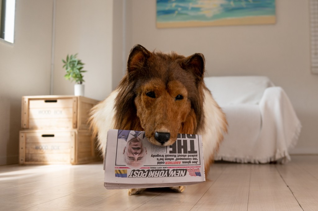 Just weeks after taking his first walk in public, a Japanese man notoriously known as "the human collie" has sat down for an interview with The Post.