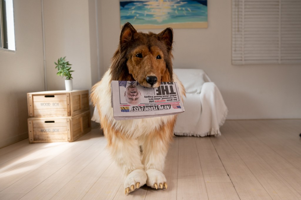 The canine cosplayer revealed he also harbors dreams of being a movie star — so get ready for a different type of "Dog Day Afternoon."