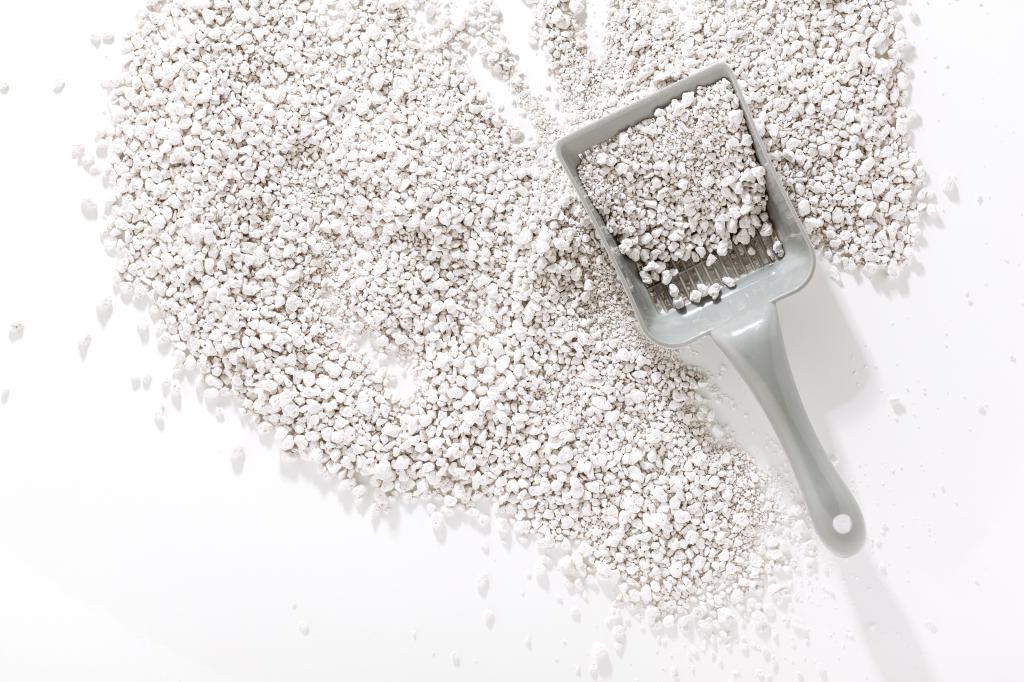 Cat litter scoop on a white background. 