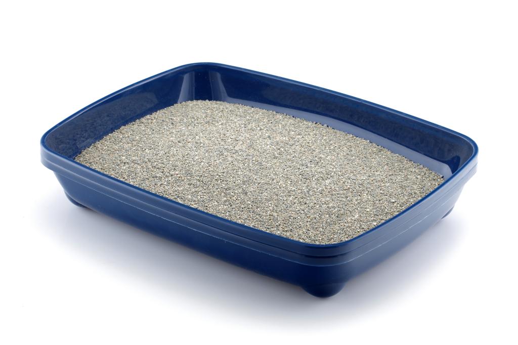 Photo of cat litter in a blue tray. 