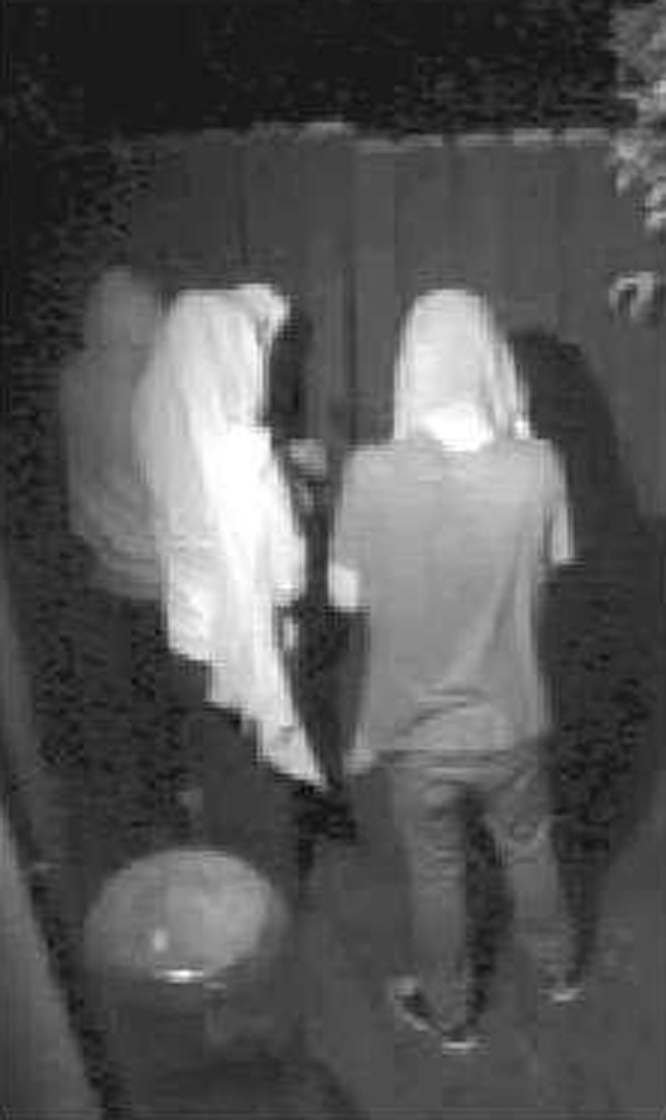 Black and white photos of members of the Bling Ring on security camera footage.