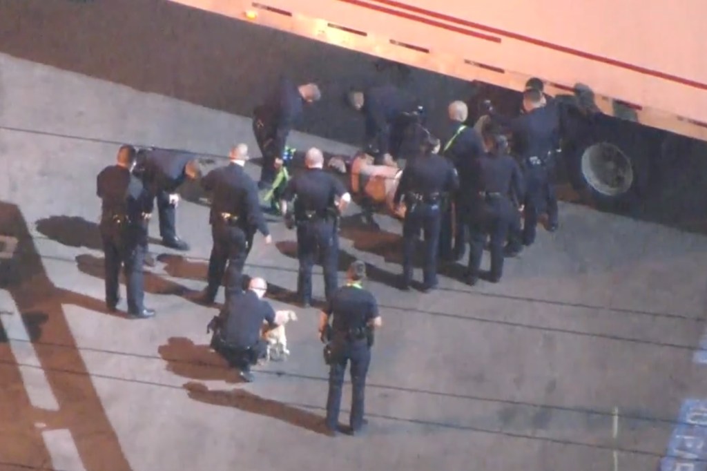 A crowd of cops surrounds the assault suspect 