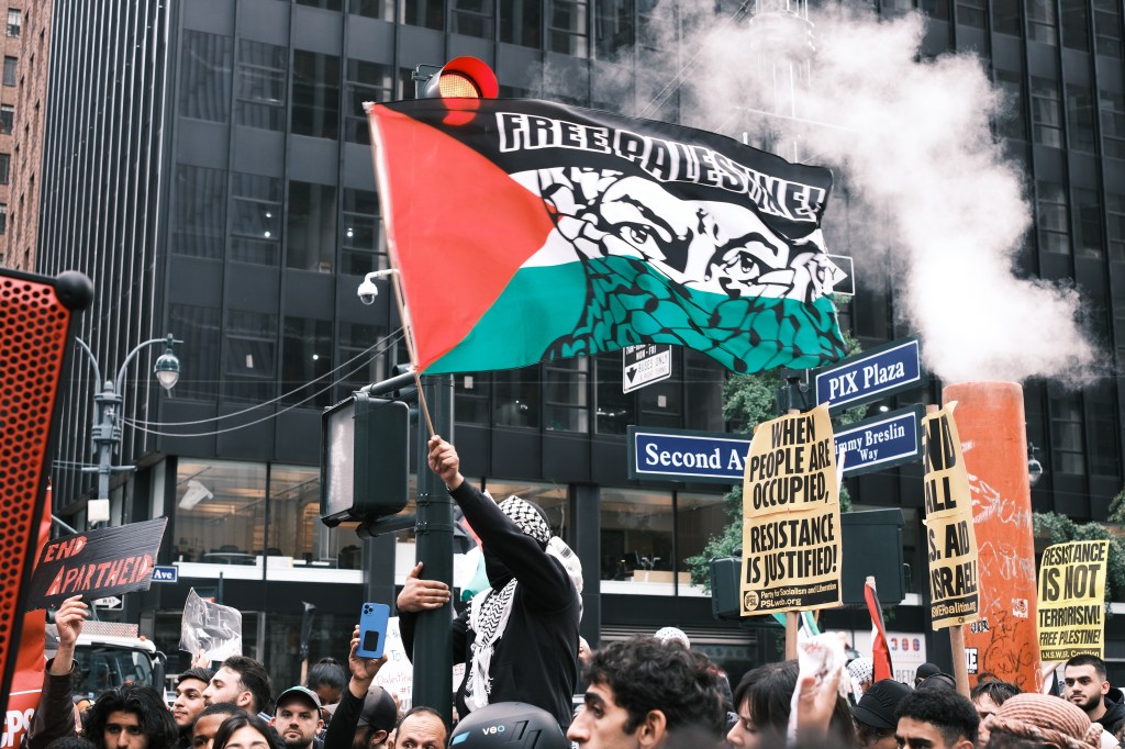 Pro-Palestinian protests.