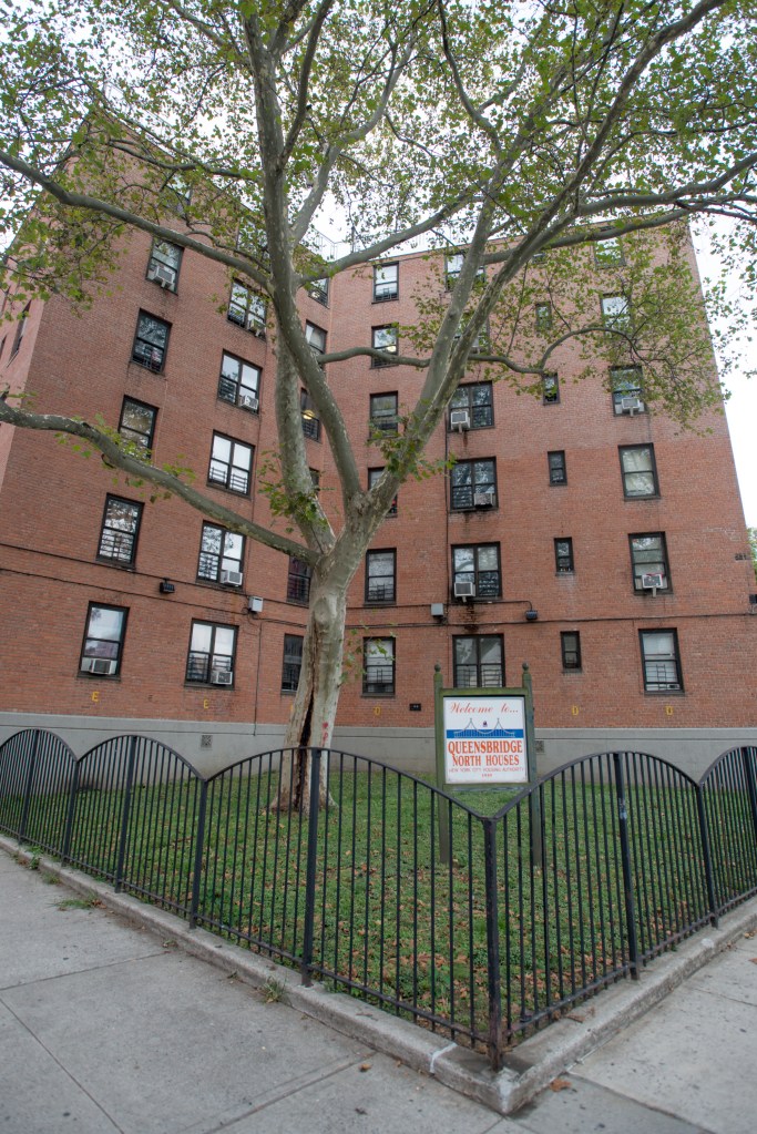 Exterior shot of Queensbridge Houses in Long Island City, Queens.