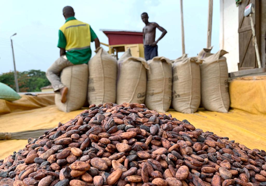 The image above is a 2019 file photo showing cocoa beans next to a warehouse in Ghana.