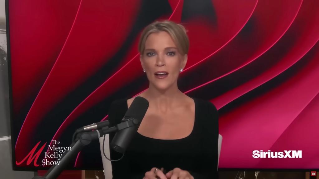 Megyn Kelly hit out at Gen Z TikTok users as "morons" and "cretins who hate America" after several of them read Osama bin Laden's "letter to America."