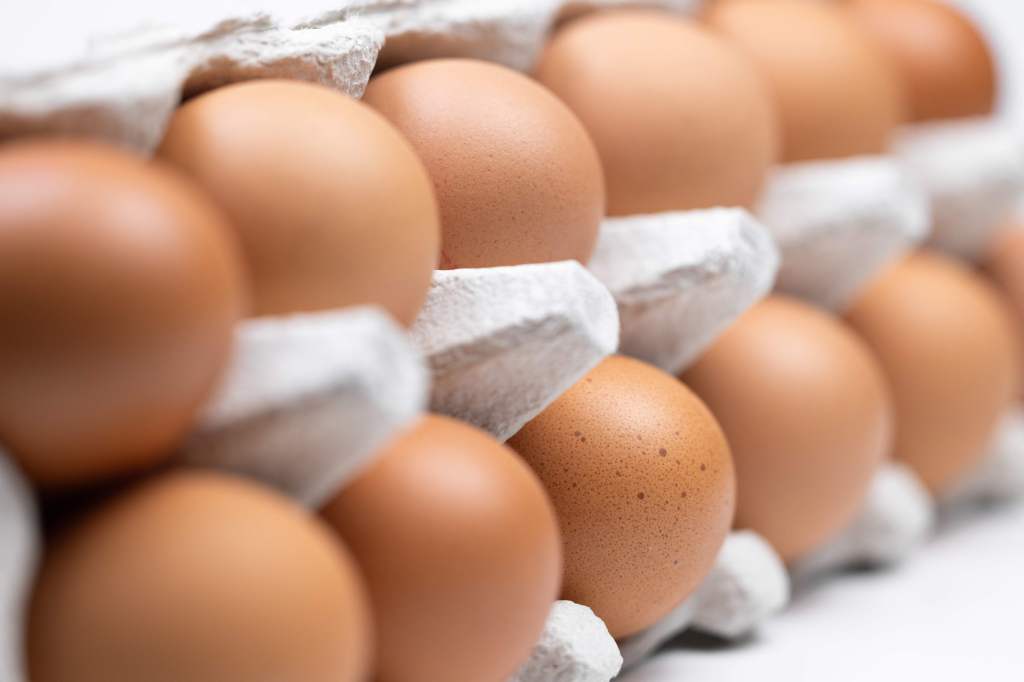 eggs