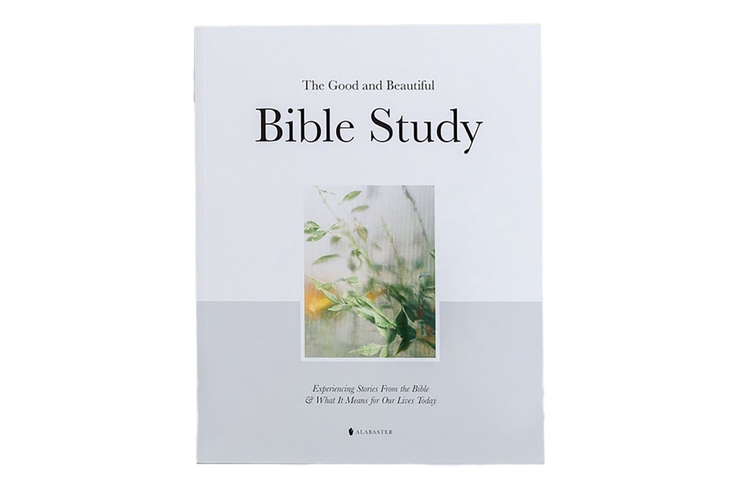 bible study book