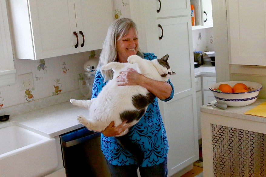 Kay Ford spends time with her cat, Patches, at her home in Mechanicsville, VA., on Monday, April 24, 2023. Ford adopted Patches, a 40-pound cat, from Richmond Animal Care and Control. The story of Patches went viral after RACC publicized the cat.