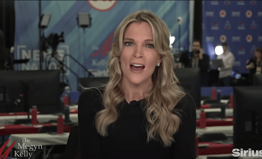 Megyn Kelly blasted the White House interns who demanded that the President Joe Biden call for an "immediate ceasefire" in Gaza "a bunch of brats."