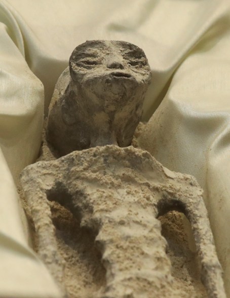 Remains of an allegedly 'non-human' being is seen on display during a briefing on UFOs at the San Lazaro legislative palace, in Mexico City, Mexico, Sept. 12, 2023. 