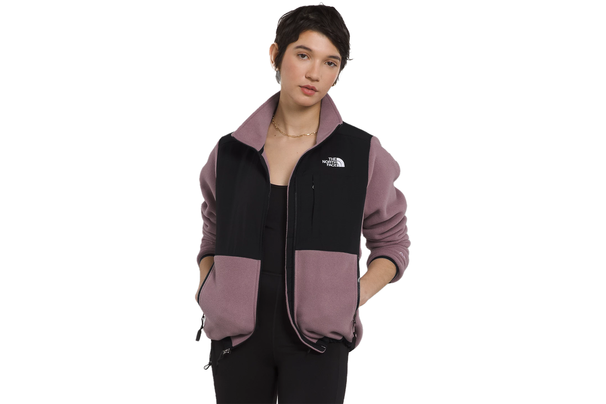 The North Face Denali Jacket