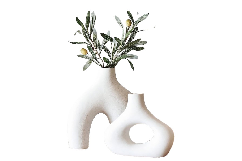 A white vase containing a plant