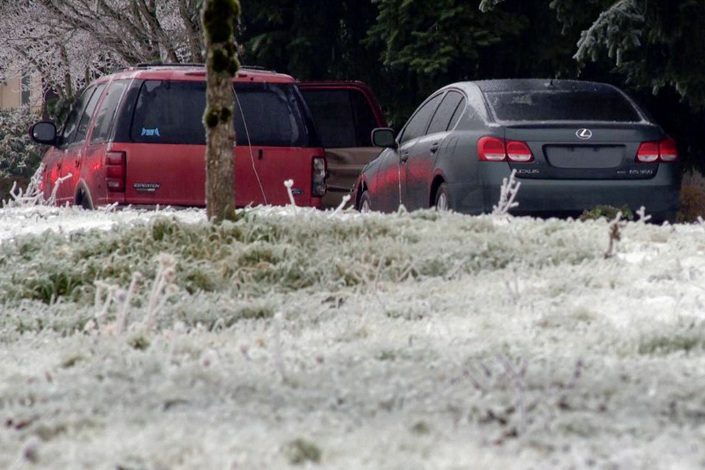 Three people were electrocuted Wednesday by a downed power line in Portland, Oregon. 