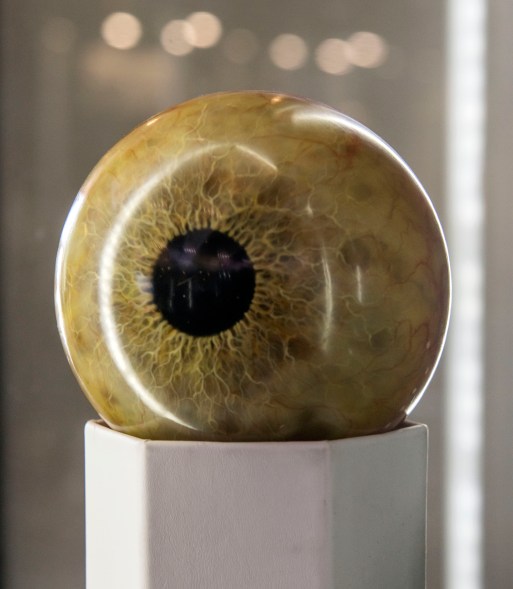 Tyrannosaurus Rex Eye from 'Jurassic Park' featured at Propstore's Entertainment Memorabilia Auction in Los Angeles.