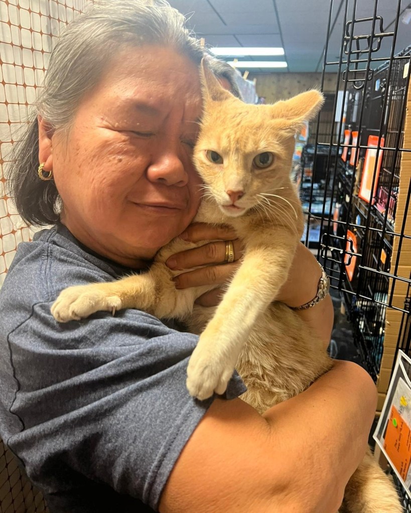 Anna lost her home and several of her cats in the deadly Maui wildfires, but the cat she reunited with had been missing for nearly three years -- way before the August blaze.   