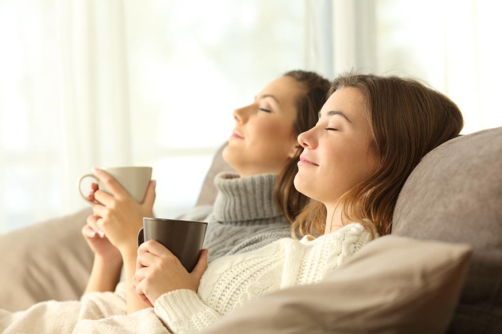 Roommates relaxing in winter on a couch