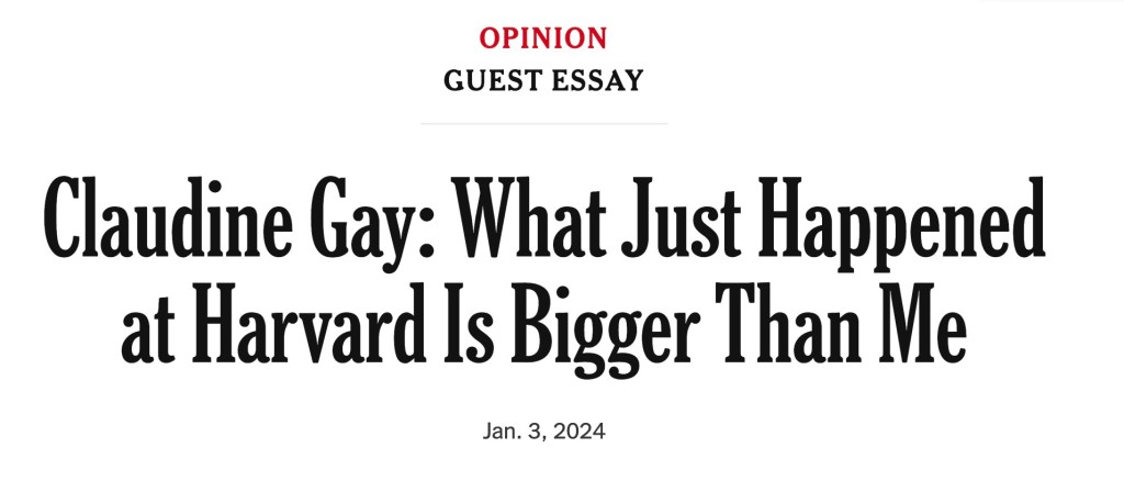 A screengrab of Gay's op-ed.