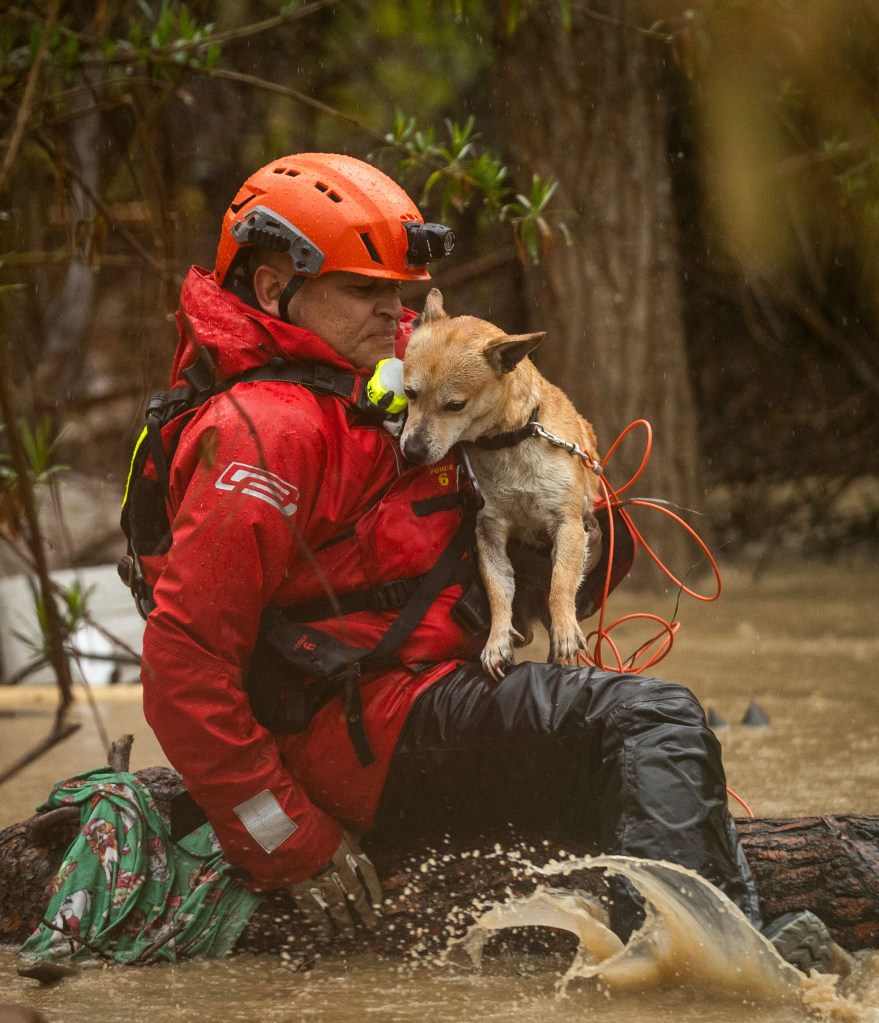 Firefighters rescue a dog from a homeless encampment