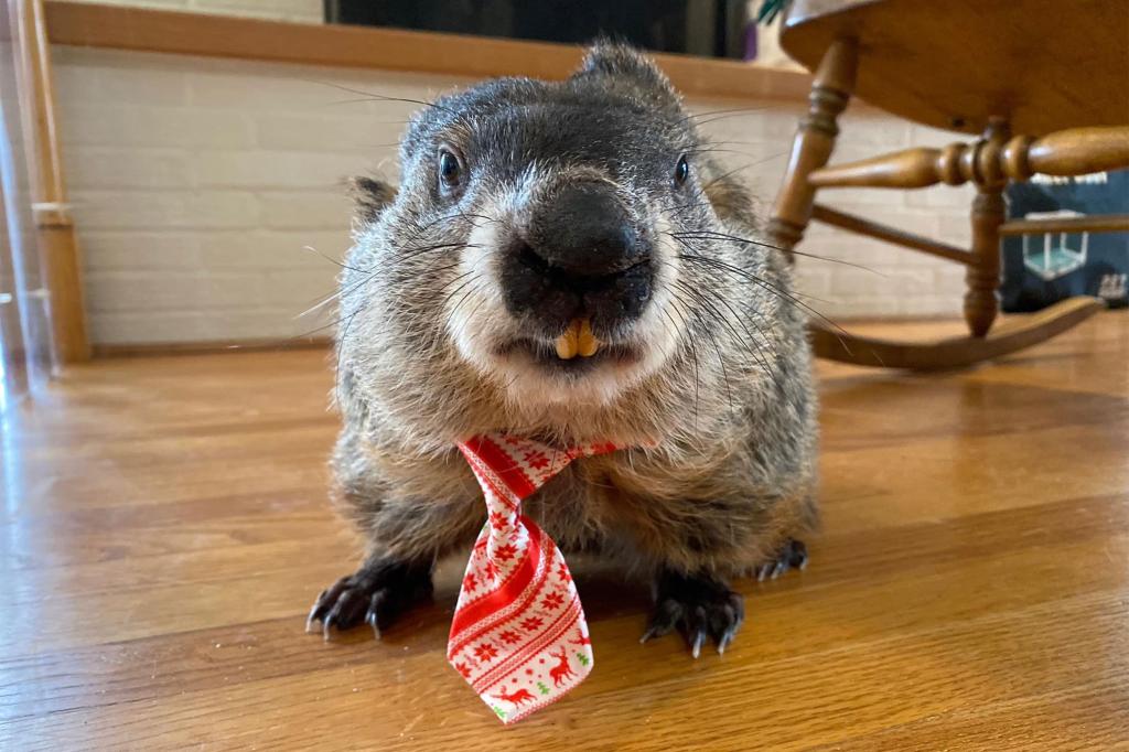Major wearing a tie.