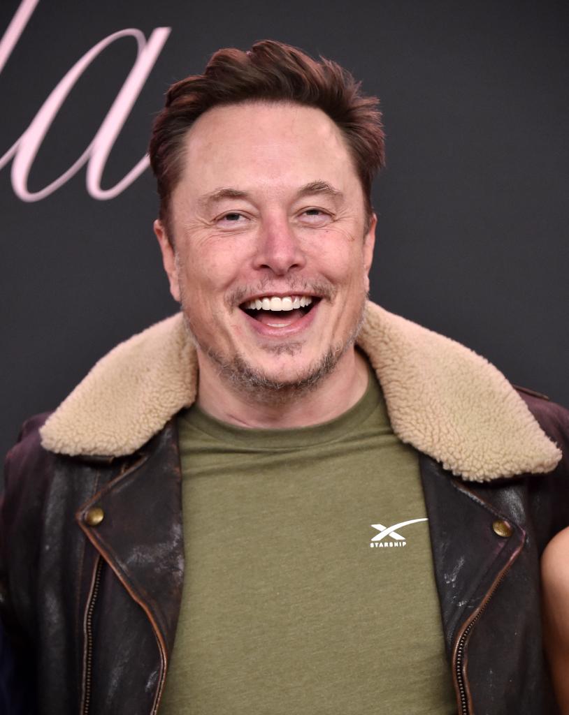 Tesla CEO Elon Musk