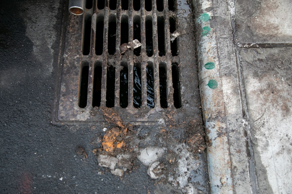 A storm drain on the corner of 6th Ave and Prospect Ave in Brooklyn, with a foul smell emanating from it. Photo by Michael Nagle.