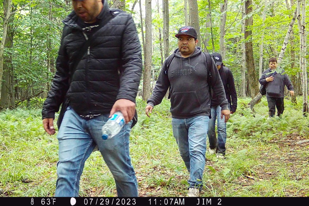 A group of 4 men walking through the woods.