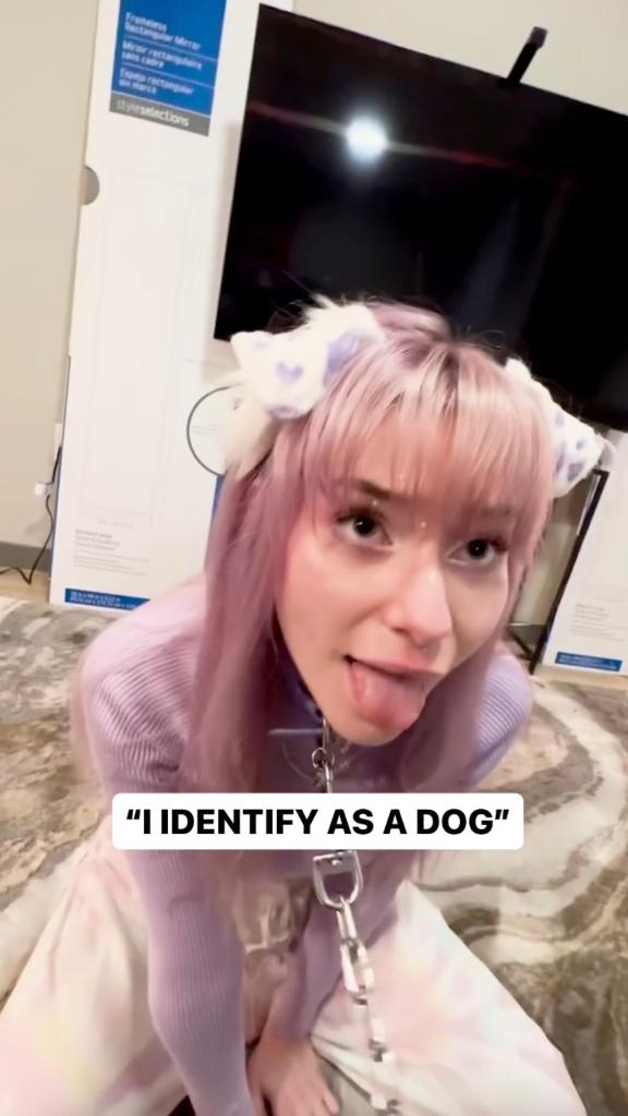 Meow Dalyn, a Twitch streamer from the US, who identifies as a dog.