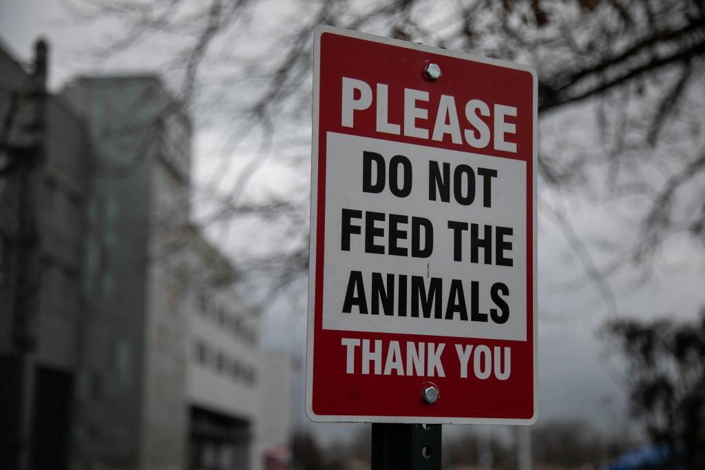 A photo of a sign in front of Staten Island University Hospital that reads, "Please do not feed the animals. Thank you."