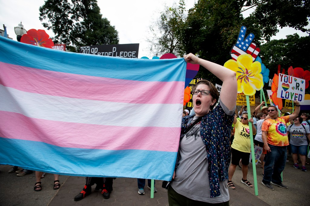 A supporter holds a transgender flag at the Gay Pride Festival