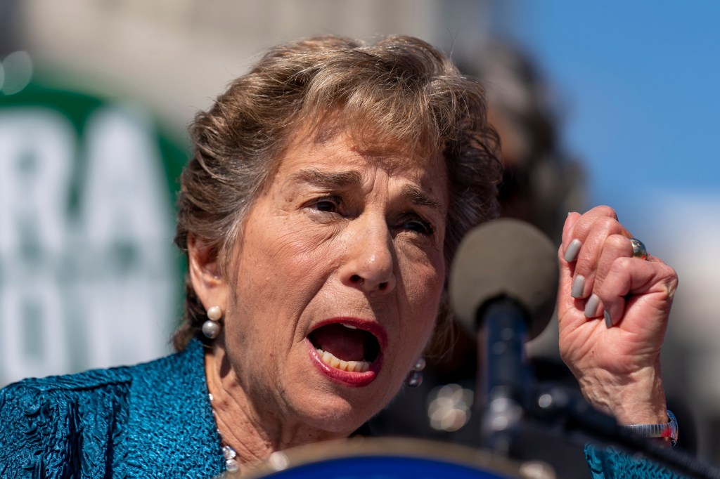 Jan Schakowsky speaking at a rally on Capitol Hill in Washington.