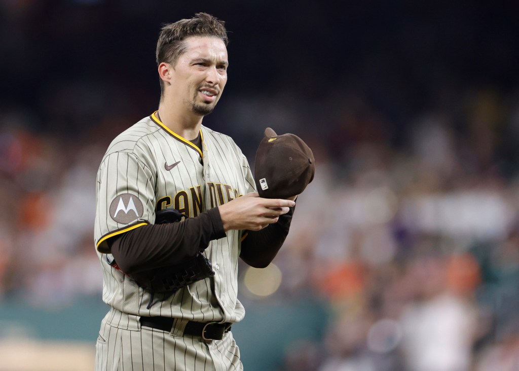Blake Snell would be the best replacement for Gerrit Cole out there.