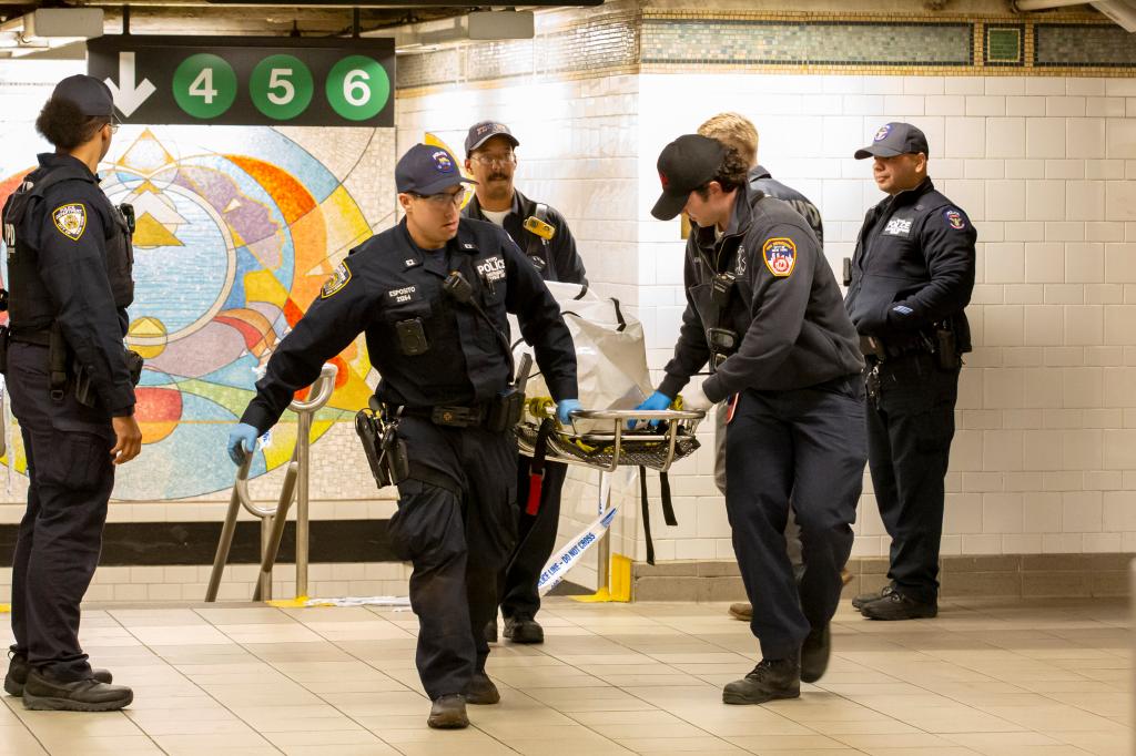 FDNY, EMT's and MTA and NYPD at the scene of a person hit  and killed 