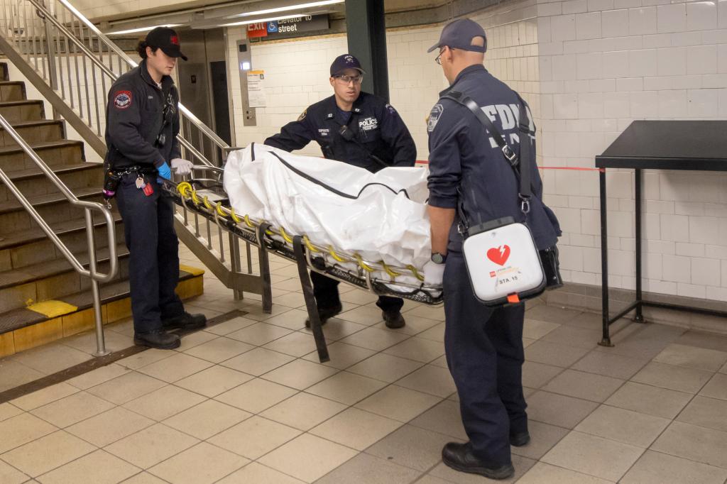 FDNY, EMT's and MTA and NYPD at the scene of a person hit  and killed 