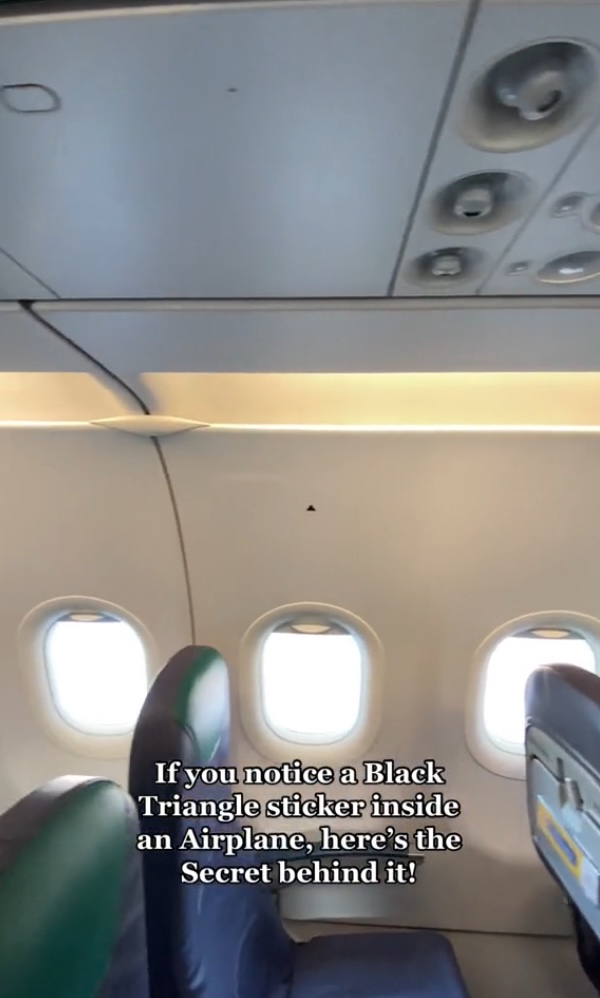 "1. Passengers sitting next to the triangles get the best view of the wings," Lim explained on TikTok.