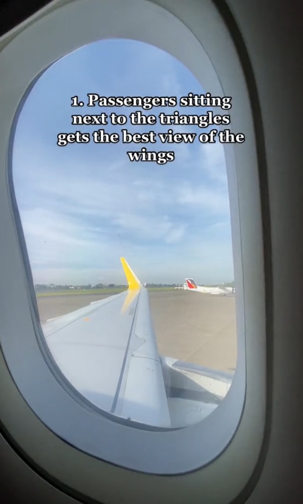 "2. If flight crew need to check the wings these triangles let them know the best vantage points for the slats and flaps outside," she added.