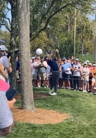 Max Homa nearly hit a fan in the head with a shot on the 14th hole during the third round of the Players Championship on Saturday.