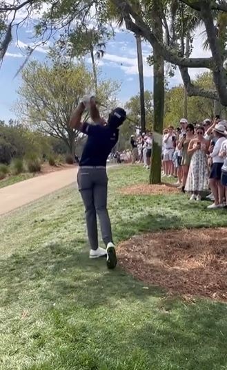 Another view of Max Homa's shot on the 14th hole on Saturday.