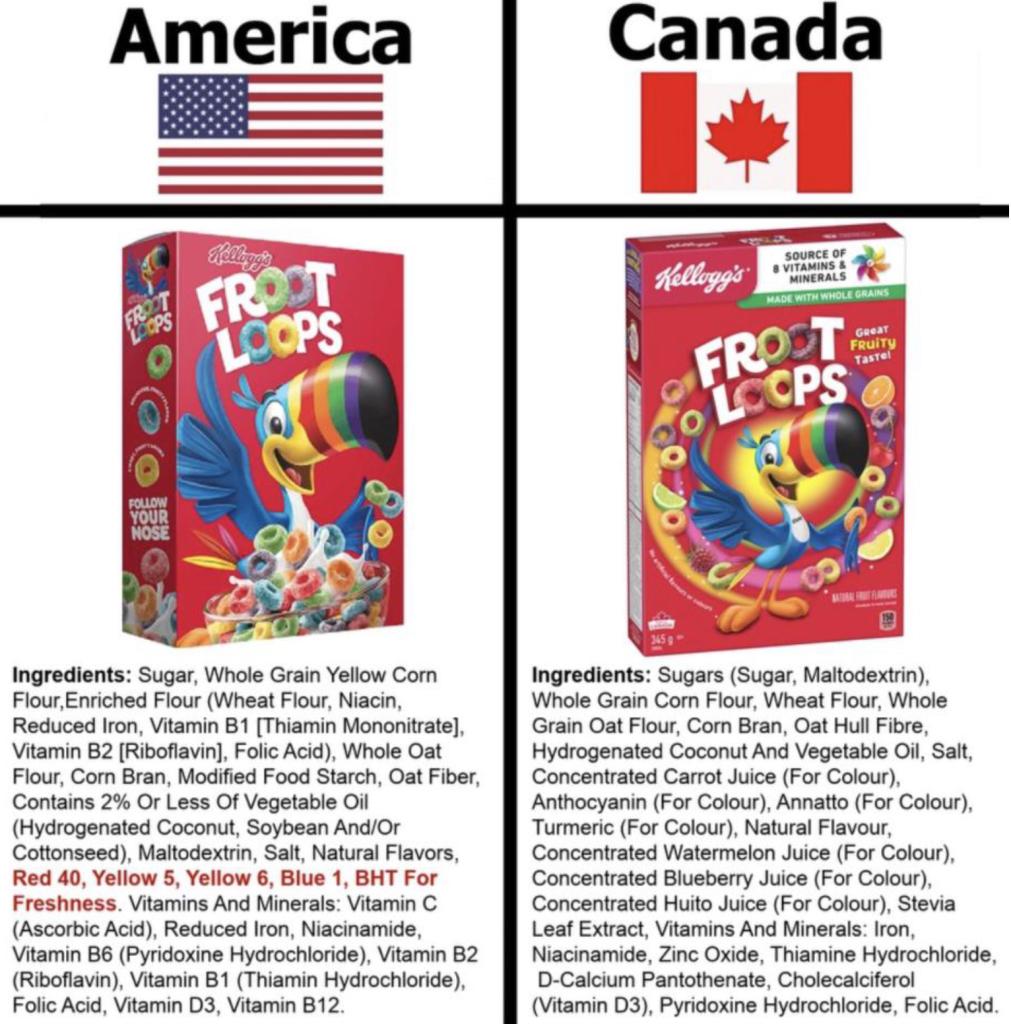Kellogg Fruit Loops cereal box with text "Shareholder says dangerous dyes" in various colors against white background.