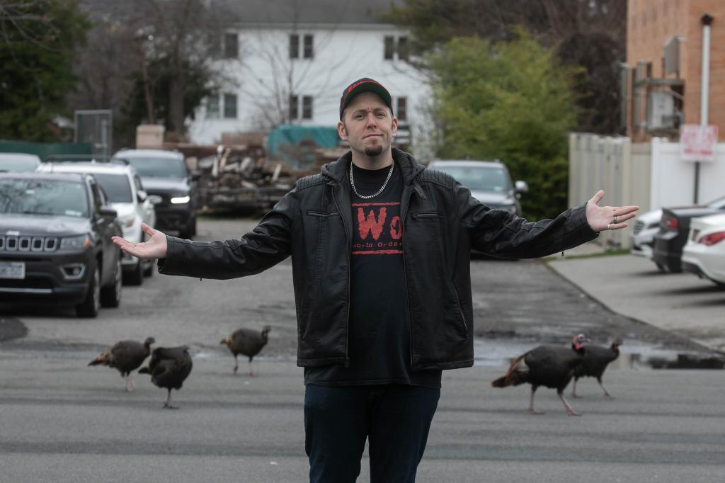 A photo of comic book author Patrick Hickey Jr. spreading his arms as his new neighbors, the wild turkeys, roam on his block in Midland Beach.