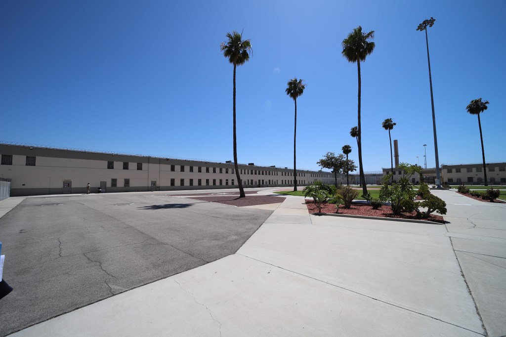 FCI Terminal Island exterior, a 1938-established low-security male correctional facility with palm trees and a parking lot