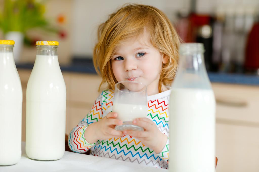 Adorable toddler girl drinking cow milk from a glass surrounded by bottles for breakfast at home or nursery