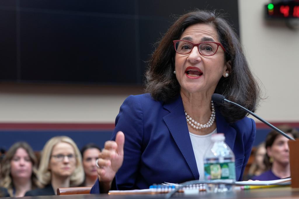 Manouche Shafik at microphone