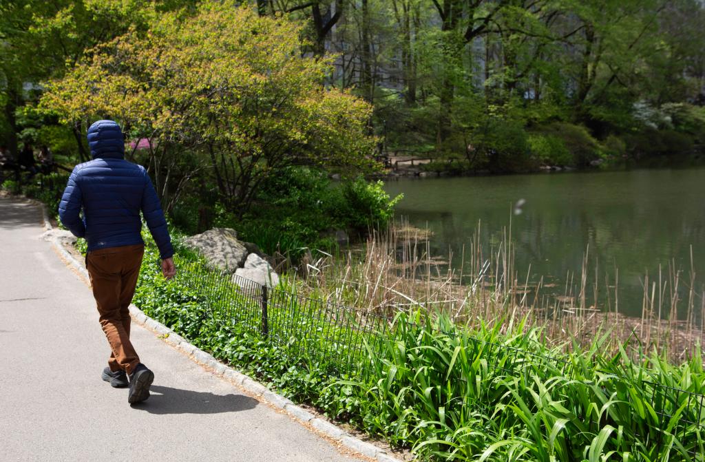 A walker on one of Central Park's paths.